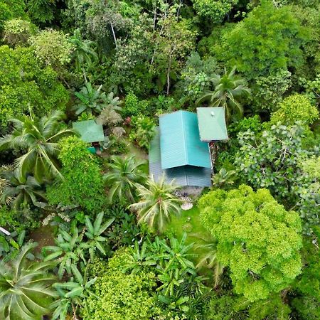 فيلا Casa Aire Libre Puerto Jiménez المظهر الخارجي الصورة