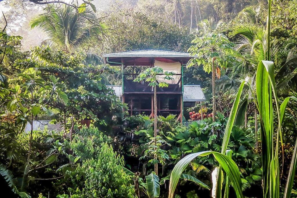 فيلا Casa Aire Libre Puerto Jiménez المظهر الخارجي الصورة
