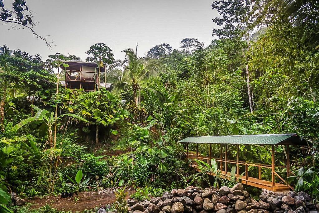 فيلا Casa Aire Libre Puerto Jiménez المظهر الخارجي الصورة