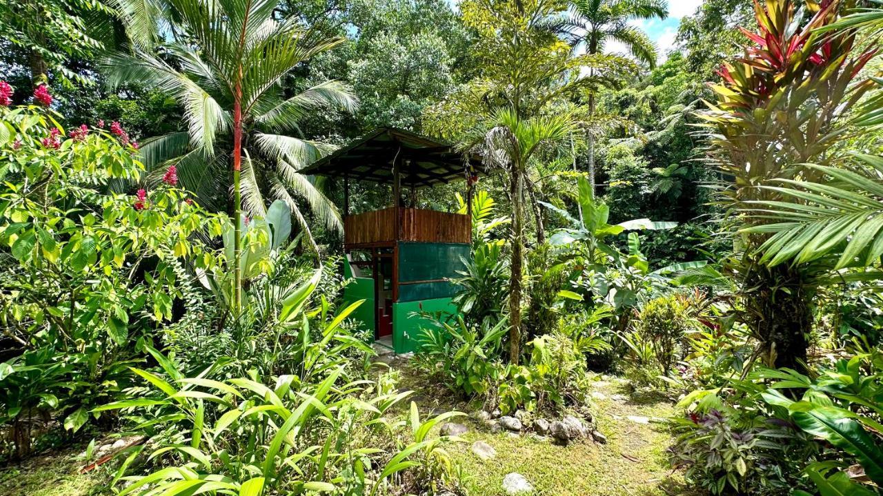 فيلا Casa Aire Libre Puerto Jiménez المظهر الخارجي الصورة