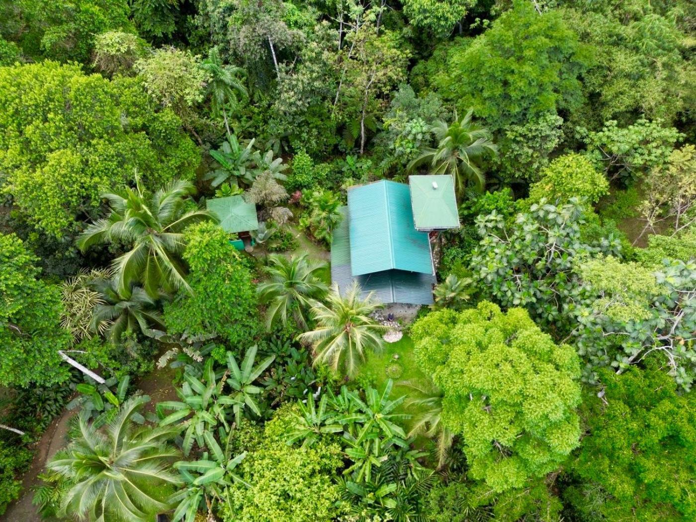 فيلا Casa Aire Libre Puerto Jiménez المظهر الخارجي الصورة